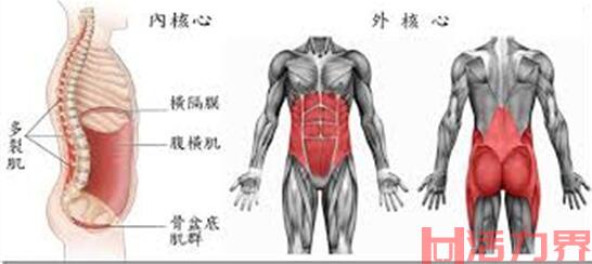 核心力量训练是什么？