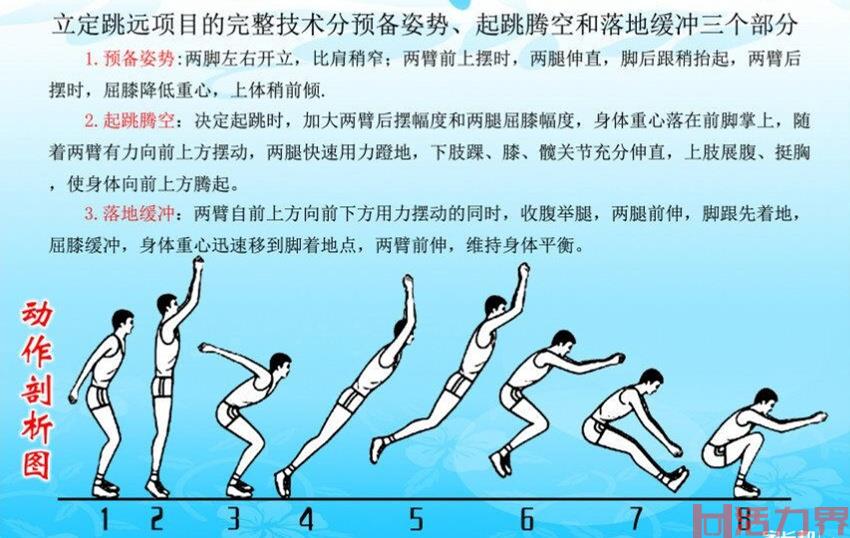 立定跳远的技术要领有哪些？