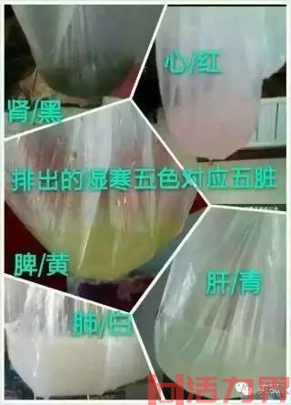 排酸毯出汗吗？