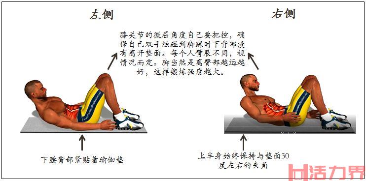 如何挑选健腹轮？