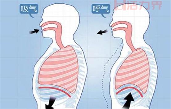 长期腹式呼吸的坏处有什么？