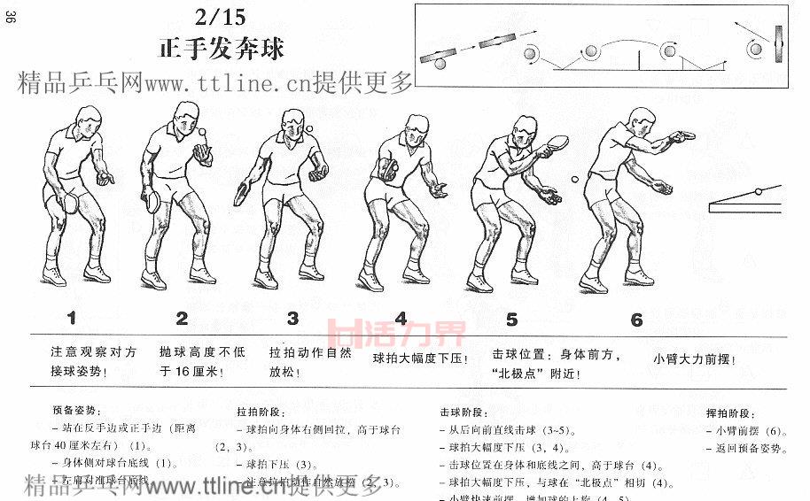 教练指导：乒乓球发球规则与发球技术分类介绍