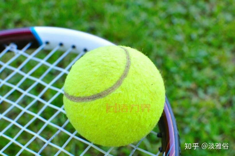 网球是什么？