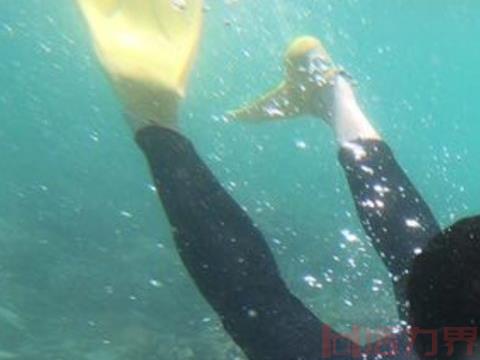 泰国体验潜水常见问题有哪些？