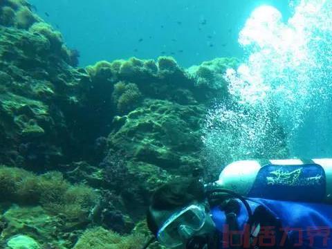 泰国海岛的最佳潜水时间？