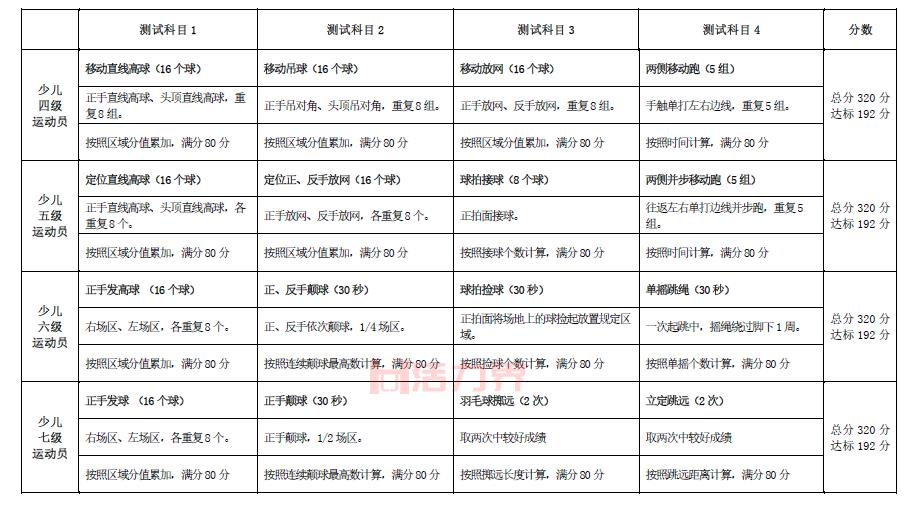 业余羽毛球等级标准