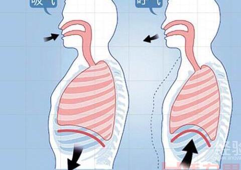腹式呼吸的方法和技巧？