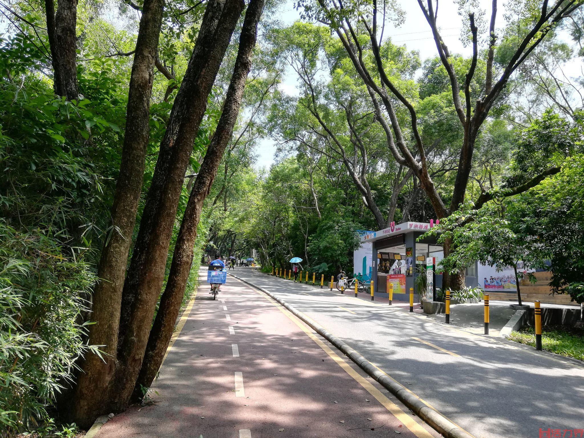 深圳市内徒步路线推荐