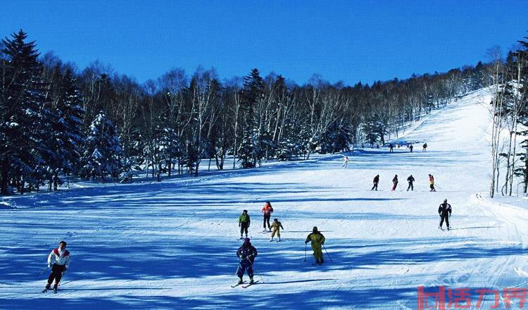 哈尔滨滑雪场哪个好 门票交通地址攻略