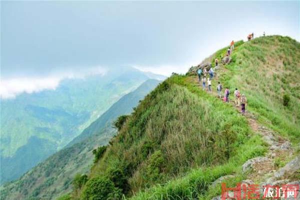 深圳大南山徒步登山路线攻略