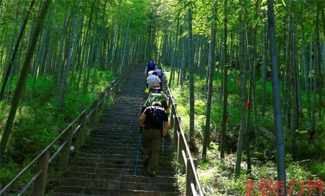 宜兴竹海徒步登山路线 游玩攻略