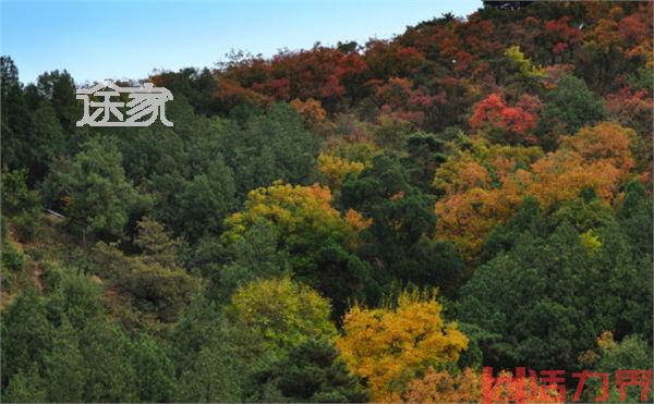 北京适合夏天爬的山有哪些