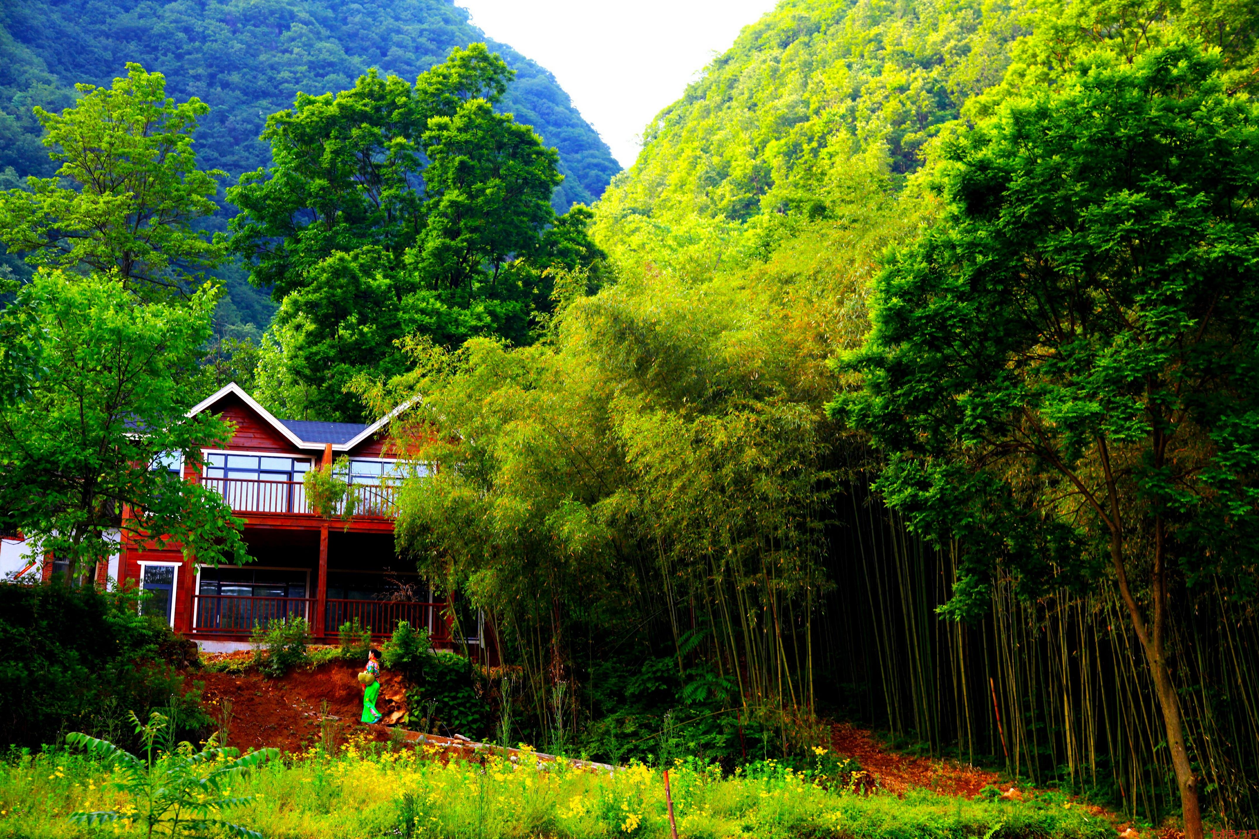 洛阳王府竹海好玩吗 有哪些旅游景点