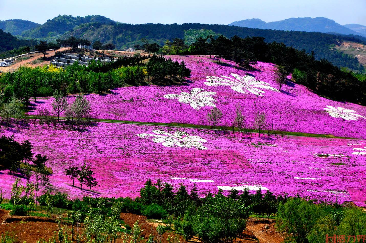 大连英歌石植物园具体地址在哪 在大连哪里