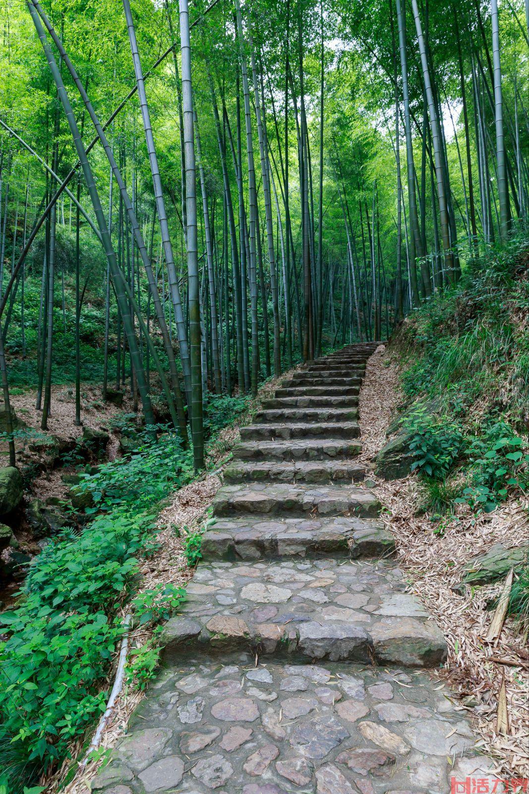 宜兴竹海风景区一日游旅游攻略