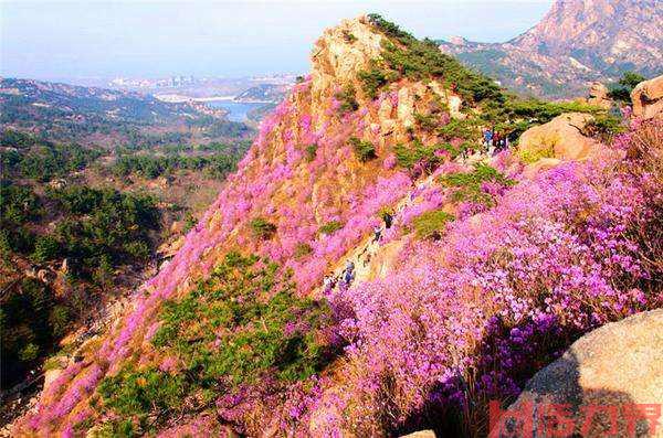 青岛大珠山风景区游玩攻略