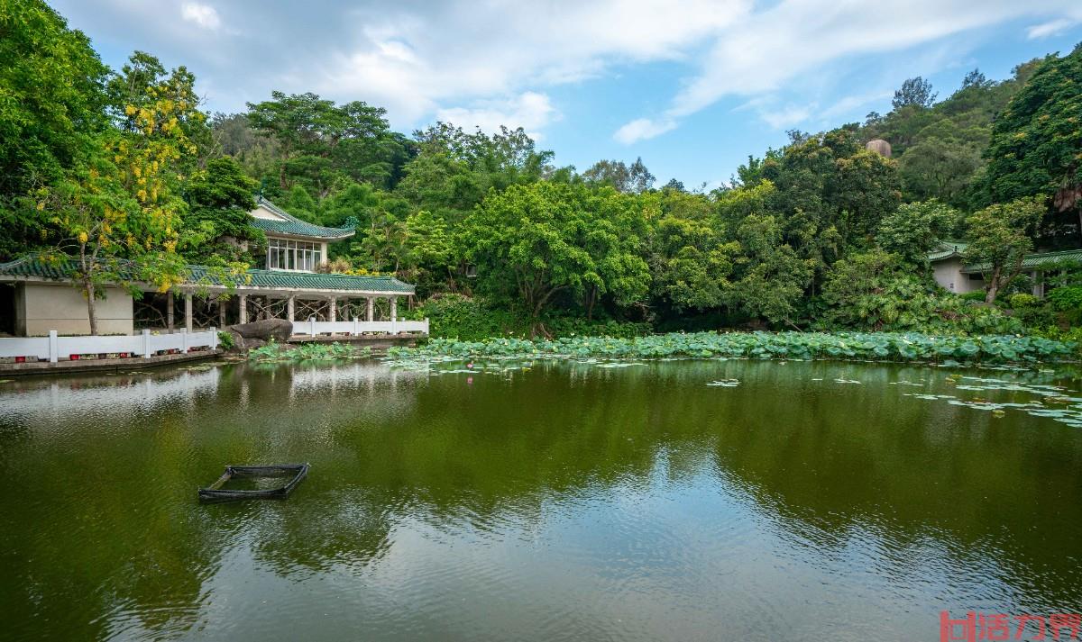 厦门植物园有哪些必去的景点