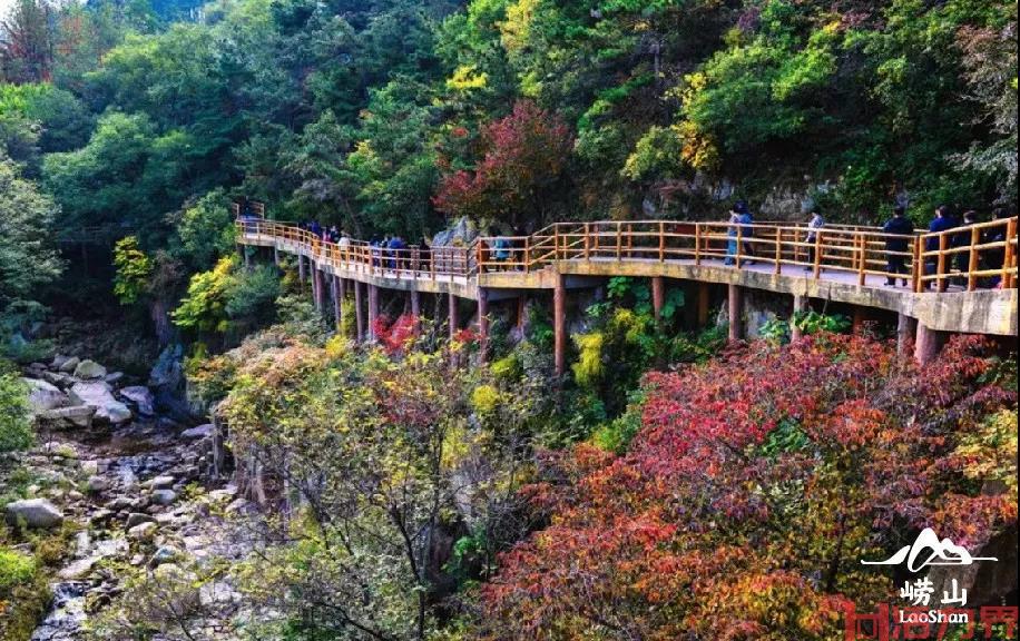 秋季崂山哪个景区景色最好