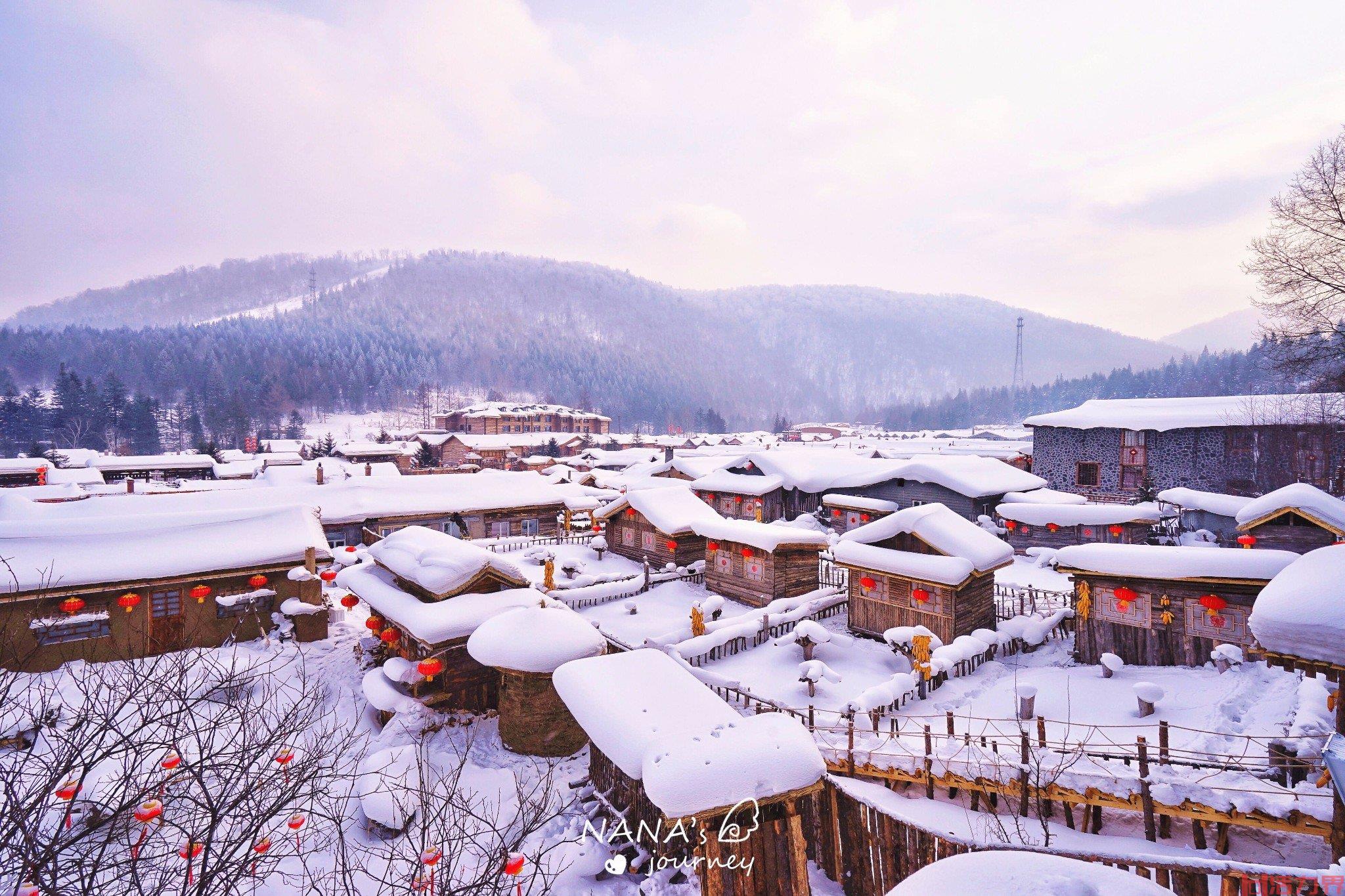 哈尔滨漠河雪乡自由行攻略路线