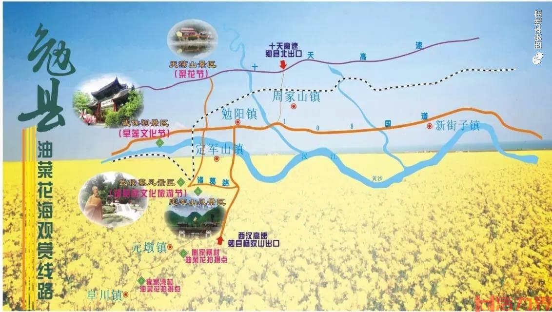 2022汉中油菜花自驾游路线 汉中油菜花最佳观赏时间