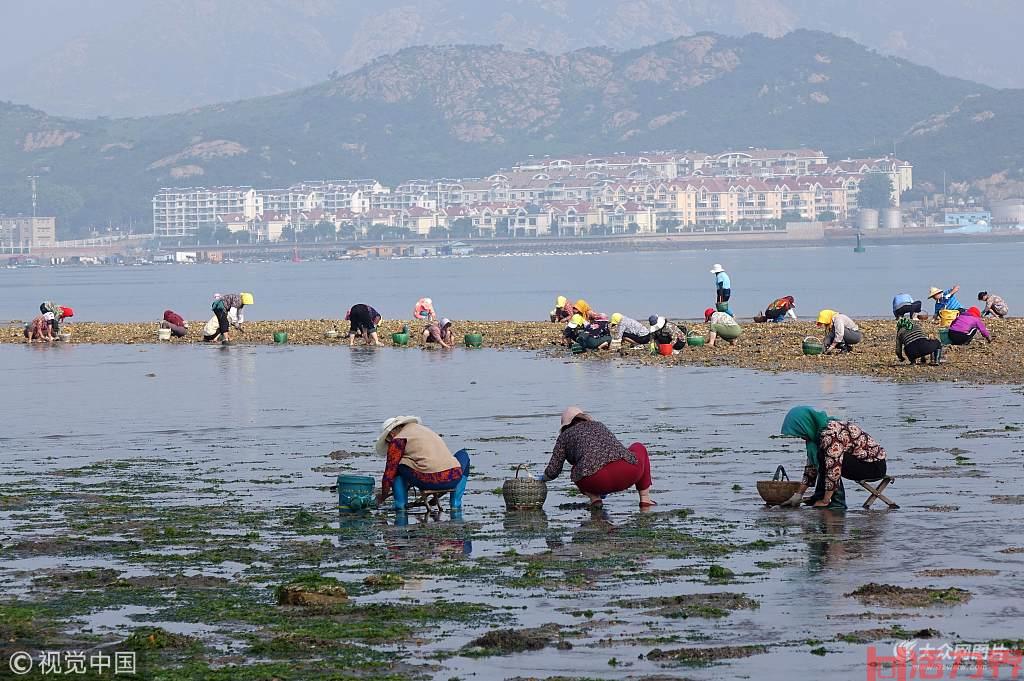 青岛哪里可以赶海 青岛哪里看海最好