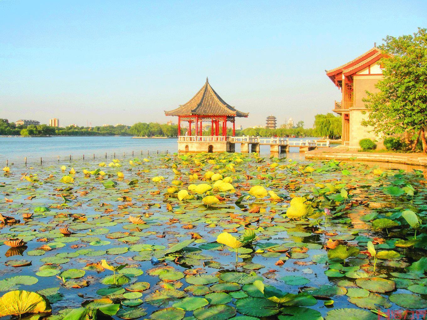 济南有什么好玩的 济南有哪些景点