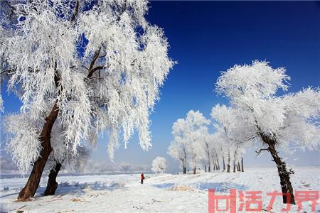 吉林雾凇岛旅游介绍 这个地方还是非常值得去的