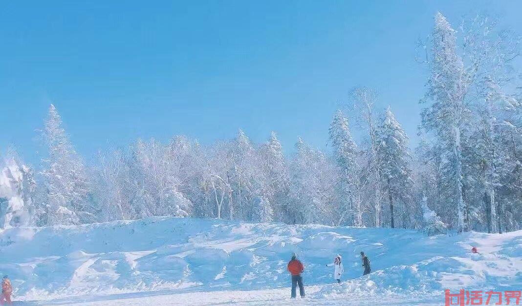 上海冬季乡村旅游景点推荐 暖胃又养眼