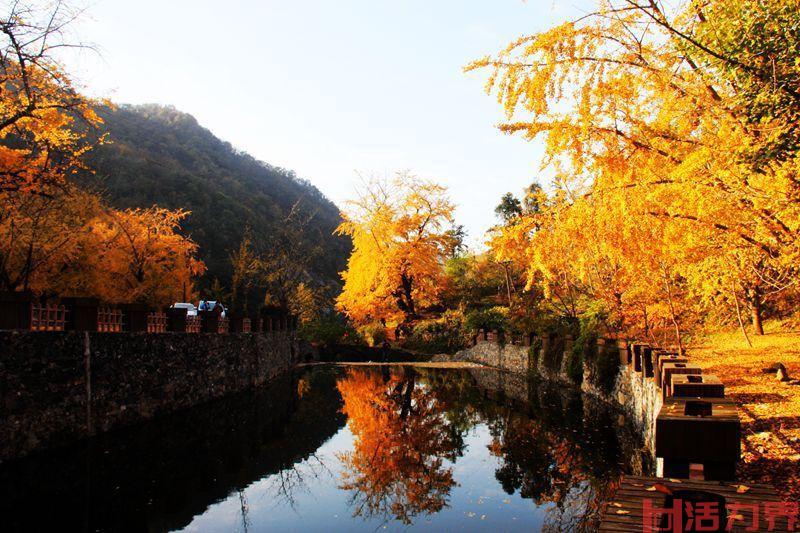 湖北秋季旅游好去处 湖北赏秋景点推荐