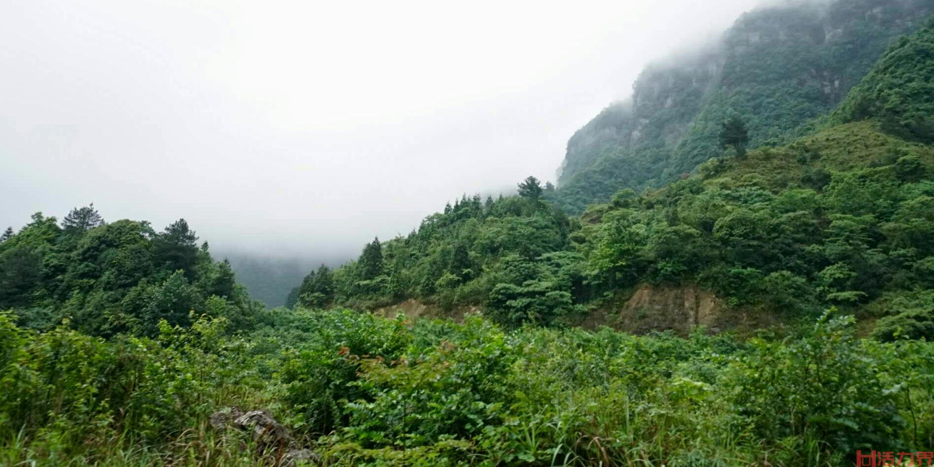 金佛山几月份去最好玩