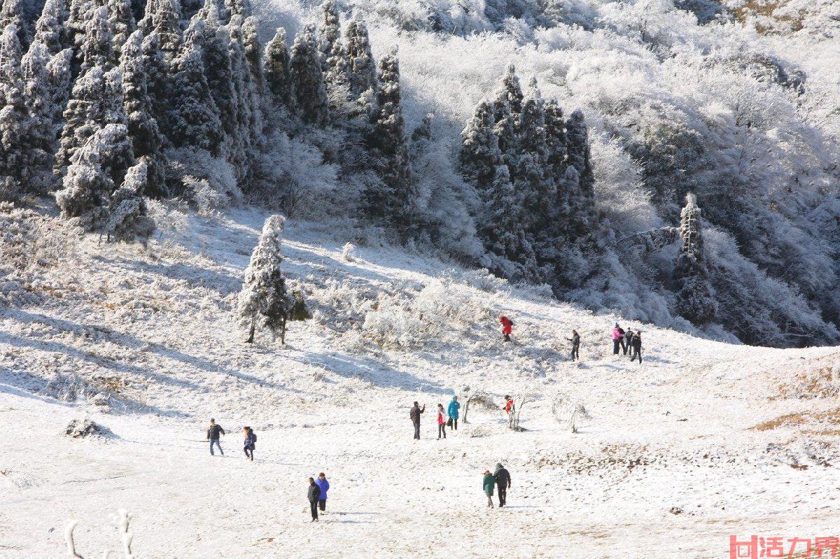 重庆小众看雪的地方 超美风景地推荐