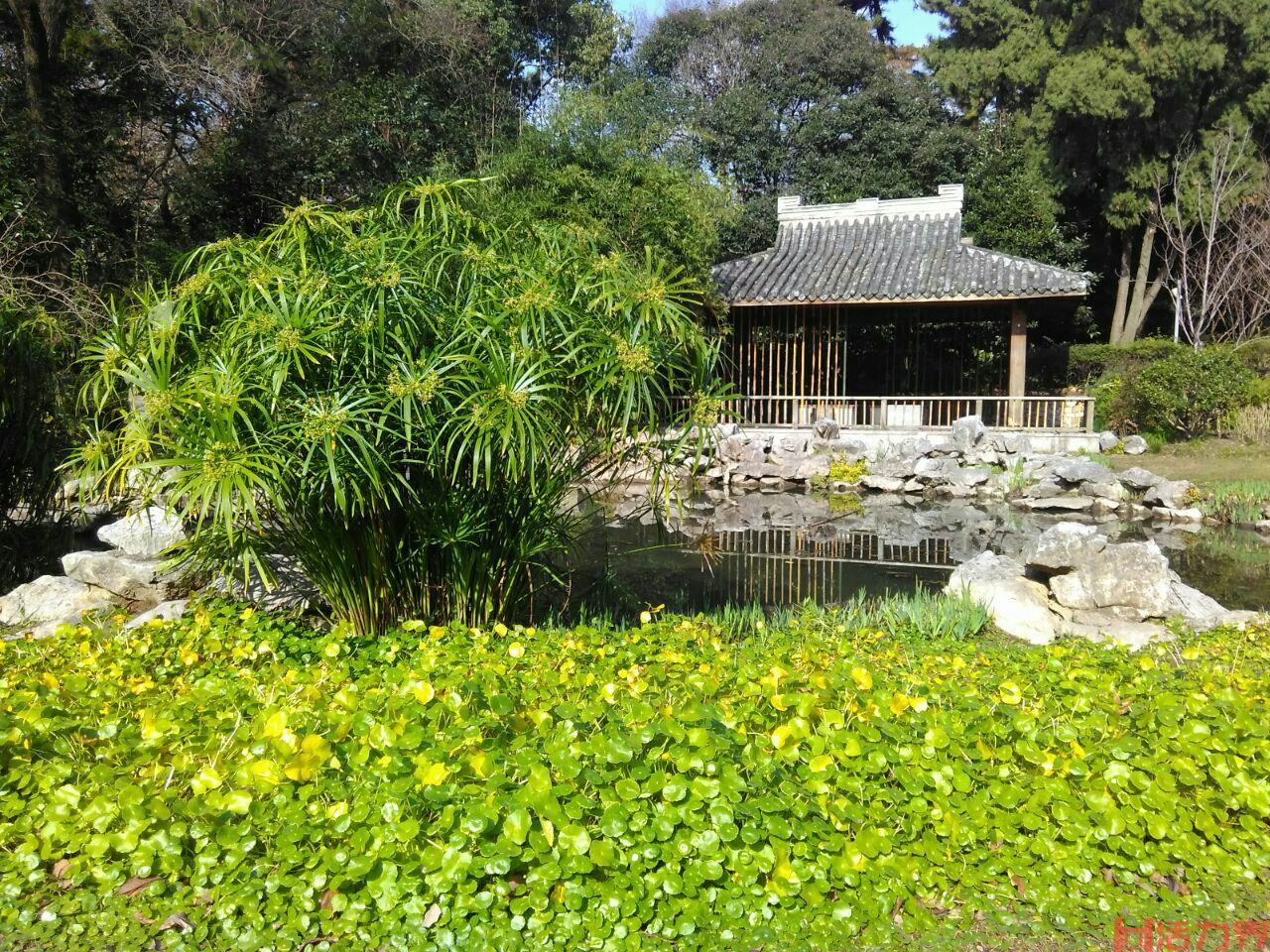 上海复兴岛公园游玩攻略 有哪些值得打卡的景点