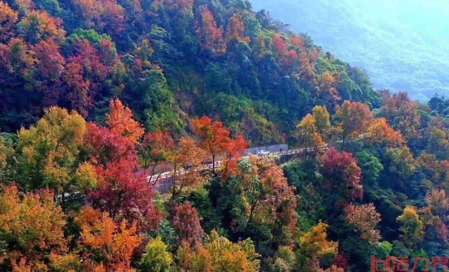 广州看红叶最好的地方 观赏红叶最佳打卡地推荐