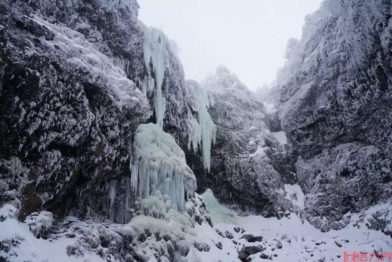 从昆明怎样坐车去轿子雪山？