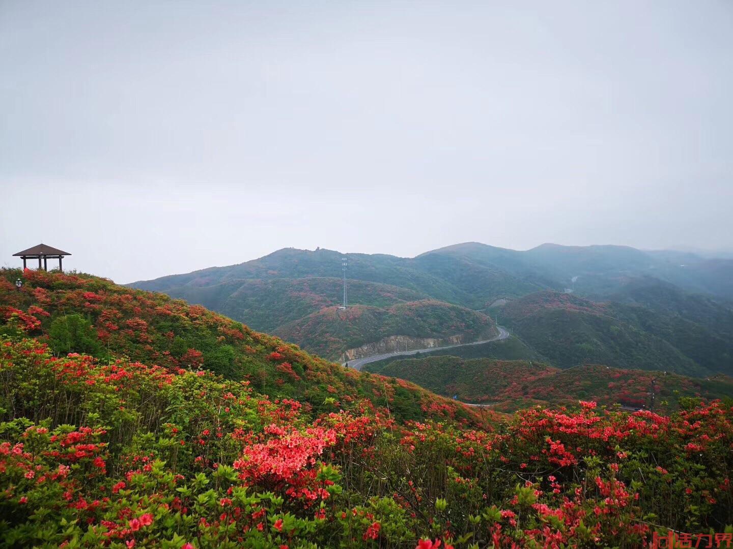 浏阳大围山一日游攻略有哪些？