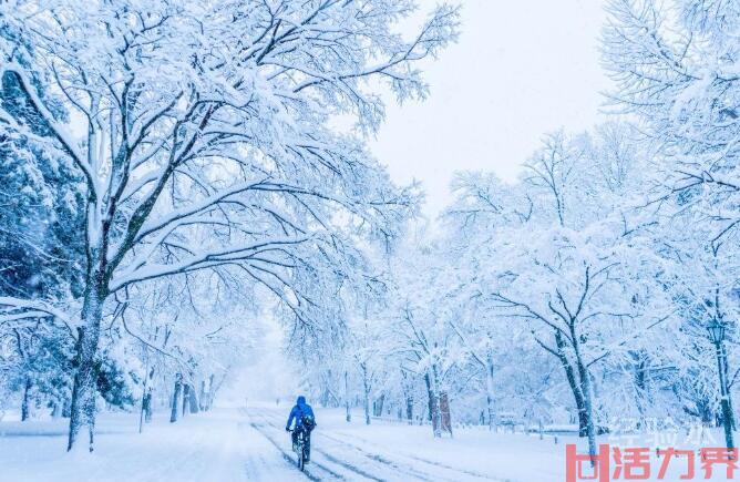 11月去北海道有什么好玩的,11月去北海道穿什么？