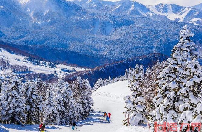 冬天去日本哪里玩好,冬天去日本哪里看雪？