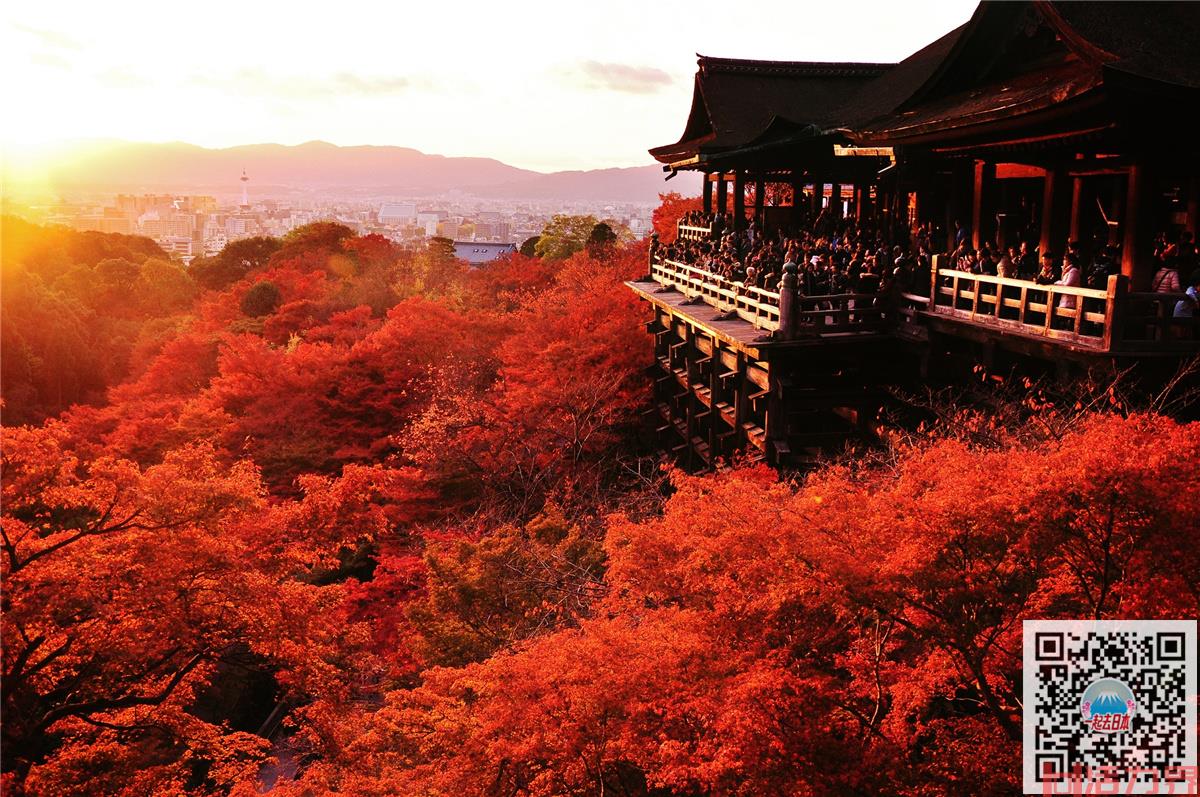 秋天去日本哪里好玩，秋天日本看红叶的地方？
