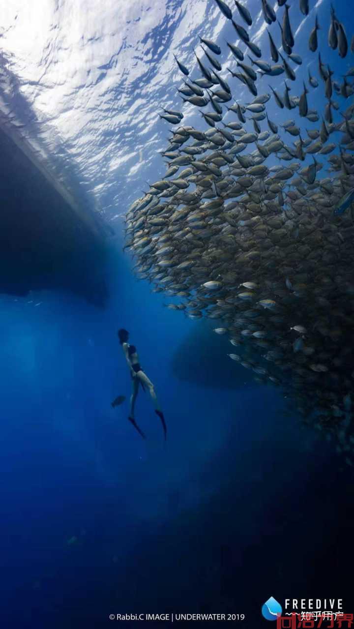 自由潜水：克服下潜时恐惧的方法