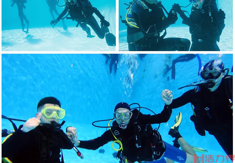 竞技潜水和休闲自由潜水的危险性都来自于哪里？