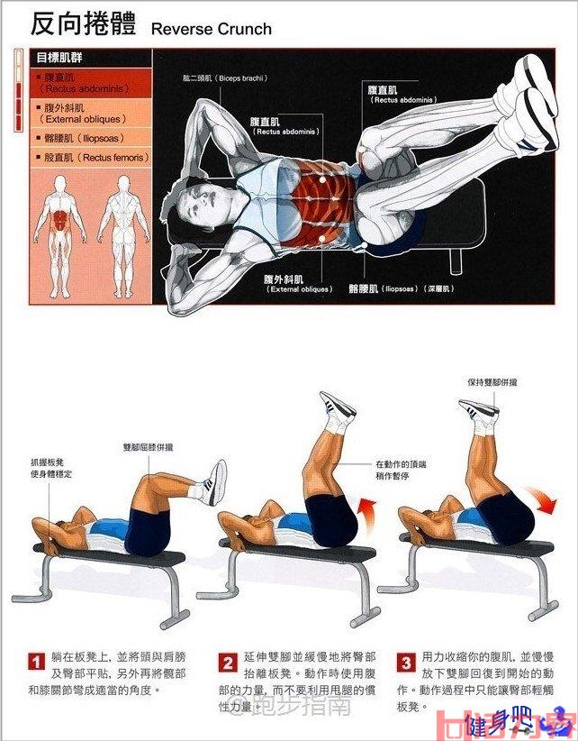 怎样锻炼腹肌？