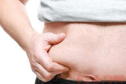 人体摄取过多脂肪有什么影响？